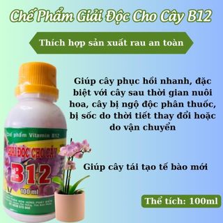 Chế phẩm B12 Tăng  đề kháng Chống Sốc Cho Cây Trồng, Cây Kiểng, Phong Lan, Hoa Kiểng (Lọ 100ML)