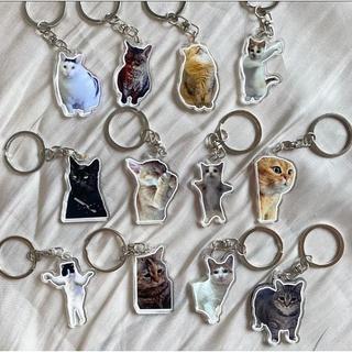 GANTUNGAN KUNCI MEME KUCING KEYCHAIN KUCING LUCU UNIK / GANCI CAT ACRYLIC / GANTUNGAN TAS GAMBAR KUCING - Ngomel