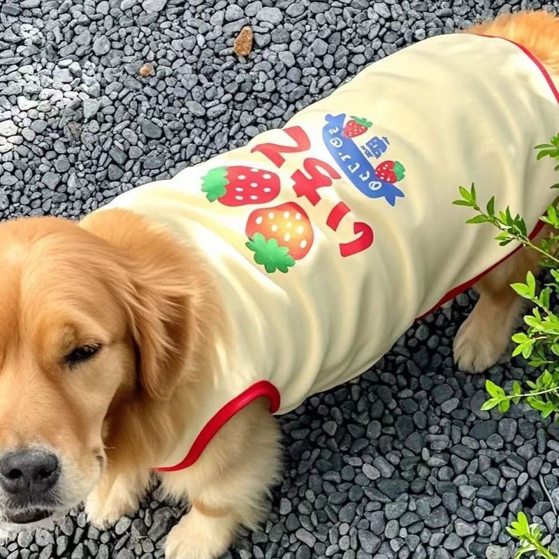 2025 Ngoài Trời Thú Cưng Vest Golden Retriever Samoyera Prado Chó Lớn Dễ Thương Quần Áo Cho Chó Khuyến Nghị