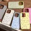 Bộ phận ốp lưng iPhone 17 Air 2 trong 1, 14/13/11 Pro, phù hợp với 16 chiếc bao da.