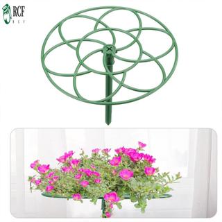 Khung leo cây làm vườn Khung leo cây có thể điều chỉnh Giá đỡ leo núi Trellis Thích hợp cho giá trồng cây