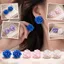 Bông Tai Hoa CATMALLER88, Bông Tai Camellia Không Đều Tinh Tế, Bông Tai Cánh Hoa Sang Trọng Nhẹ Ngọt Ngào Thời Trang Cho Nữ Bé Gái