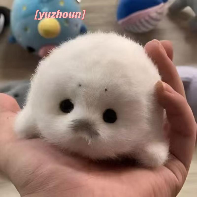 [yuzhoun] Búp bê con dấu dễ thương Mặt dây chuyền đồ chơi sang trọng Mô phỏng Đồ chơi đại dương Con dấu lưu niệm Mặt dây chuyền Quà tặng Túi búp bê Mặt dây chuyền