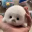 Búp bê con dấu dễ thương Mặt dây chuyền đồ chơi sang trọng Mô phỏng Đồ chơi đại dương Con dấu lưu niệm Mặt dây chuyền Quà tặng Túi búp bê Mặt dây chuyền