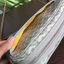 Túi xách nữ in hình thời trang GY túi đựng máy ảnh đơn giản