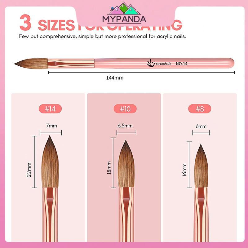 Bộ cọ acrylic 3 chiếc MYPANDA #8/10/14, bàn chải nối dài bột móng, dụng cụ nghệ thuật 3D salon
