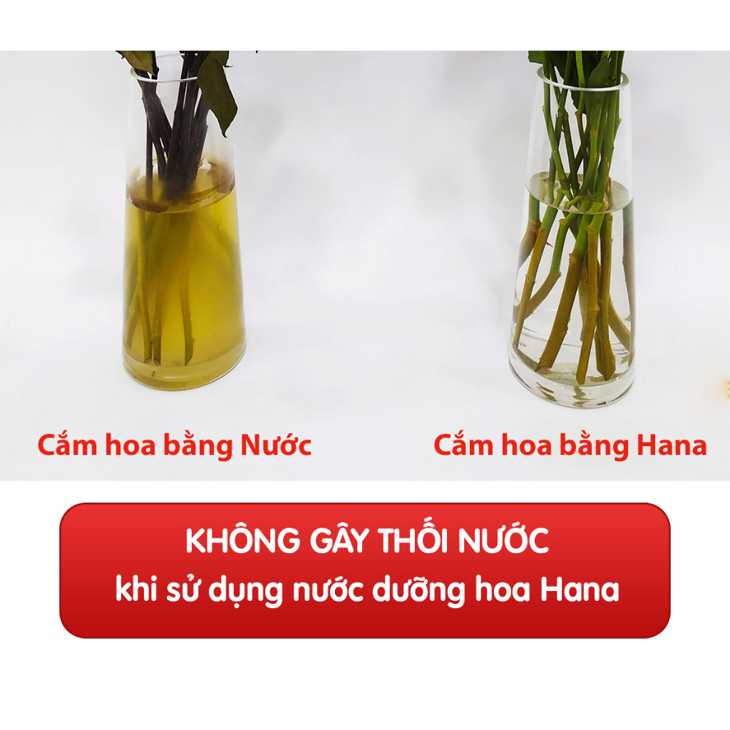 Nước dưỡng  hoa tươi lâu Hana (Hộp 50 gói x 10ml) - Dưỡng hoa tươi lâu, không gây thối nước
