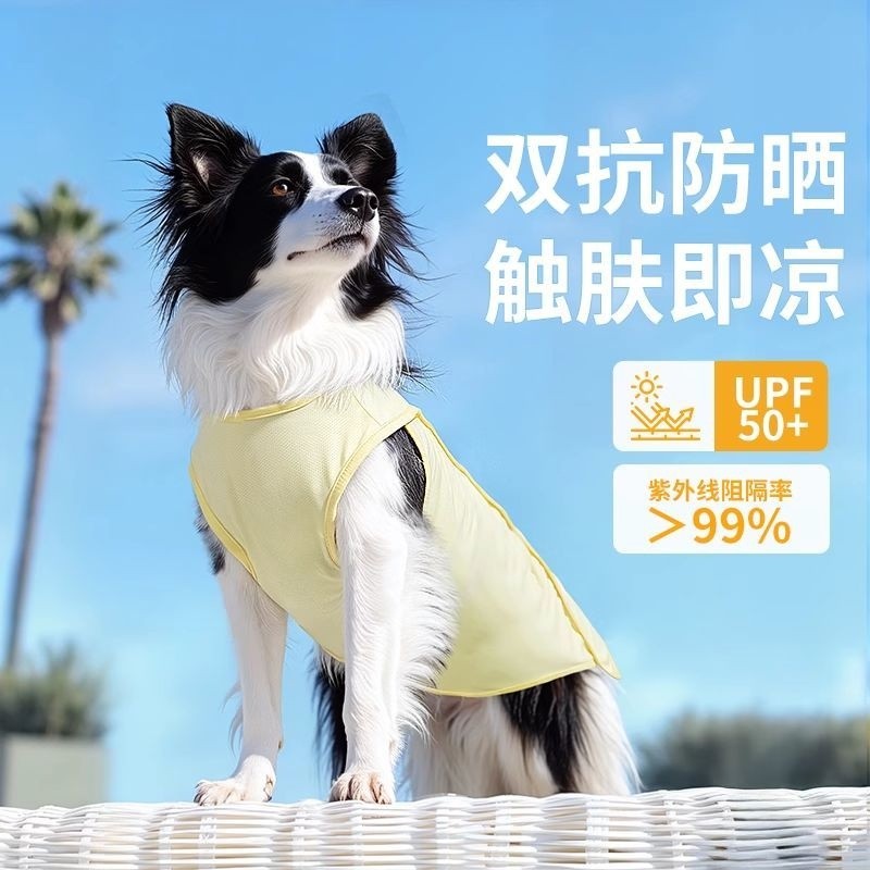 Mùa Hè Bên Ngoài Mặc Thoáng Mát Cảm Giác Chống Rơi Chó Lớn Áo Chống Nắng Làm Mát Vừa Lớn Bên Shepherd Vàng Retriever Chó