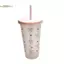 TRTR Kawaii Bình Nước Thẩm Mỹ Tumbler Cho Đá Cà Phê Nước ép Trà Nơ Dễ Thương Cốc Nhựa Có Nắp Ống Hút Chai Uống Di Động VN