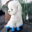 GILL 4 Cái / bộ Giày Cho Chó, Giày Cho Thú Cưng Có Thể Điều Chỉnh Chống Trơn Trượt, Chống Bẩn Dễ Thương Chống Thấm Nước Thoáng Khí Chân Cho Chó Mùa Thu Đông
