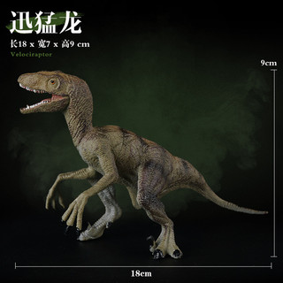 Trẻ Em Chắc Chắn Khủng Long Tượng Nhỏ Thực Tế Tyrannosaurus Và Stegosaurus Mô Hình Động Vật Đồ Chơi Giáo Dục Hoàn Hảo Cho Bé Trai Màn Hình Trang Trí
