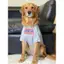 【Ready Stock】 Big Dog Thin Clothes Border Collie Golden Retriever Samo Clothes Dog Clothes Large Dog Funny Cute Clothes Summer Thin X5He