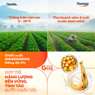 Bộ 4 lọ Thực Phẩm Bảo Vệ Sức Khỏe Pharmaton Vitality