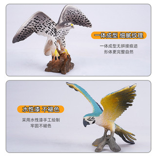 Đồ chơi mô hình động vật chim thực tế Vẹt Falcon Owl Flamingo Giáo dục Quà tặng trẻ em