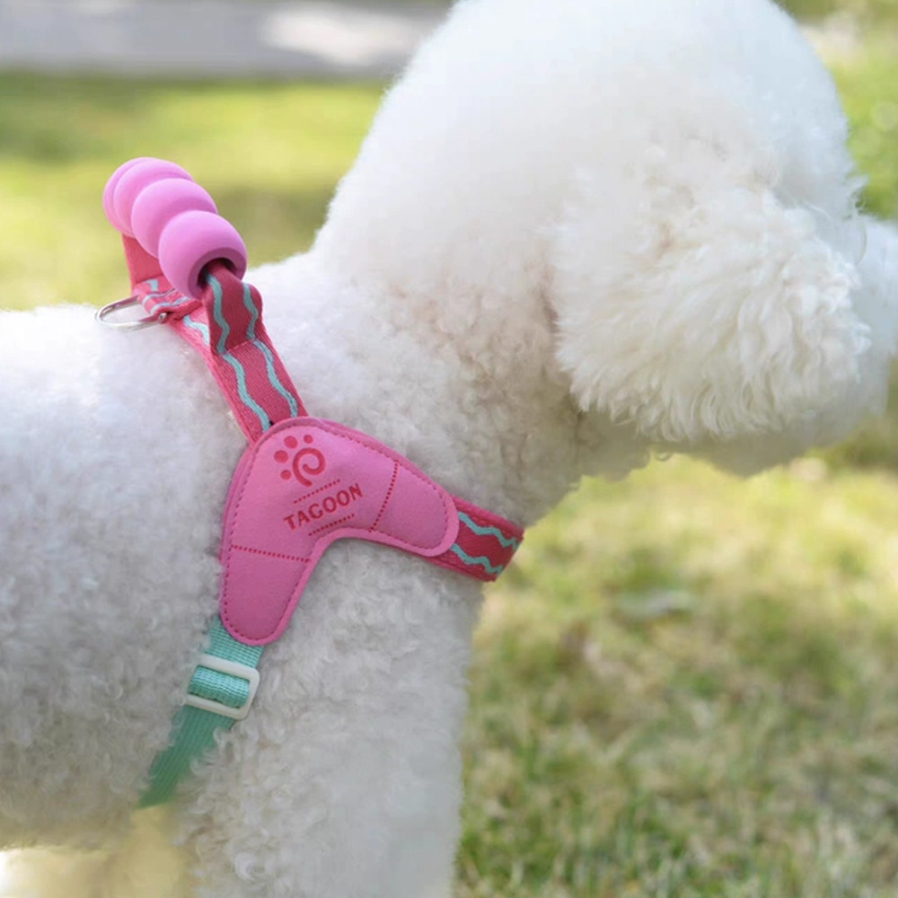 [Pet-Eleven] 26 Dây Xích Chó Yên Xe Phong Cách Chống Cháy Nổ Okinawa Ngực Lưng Teddy Bichon Corgi Nhỏ Vừa Chó Đa Năng Ngực Thú Cưng