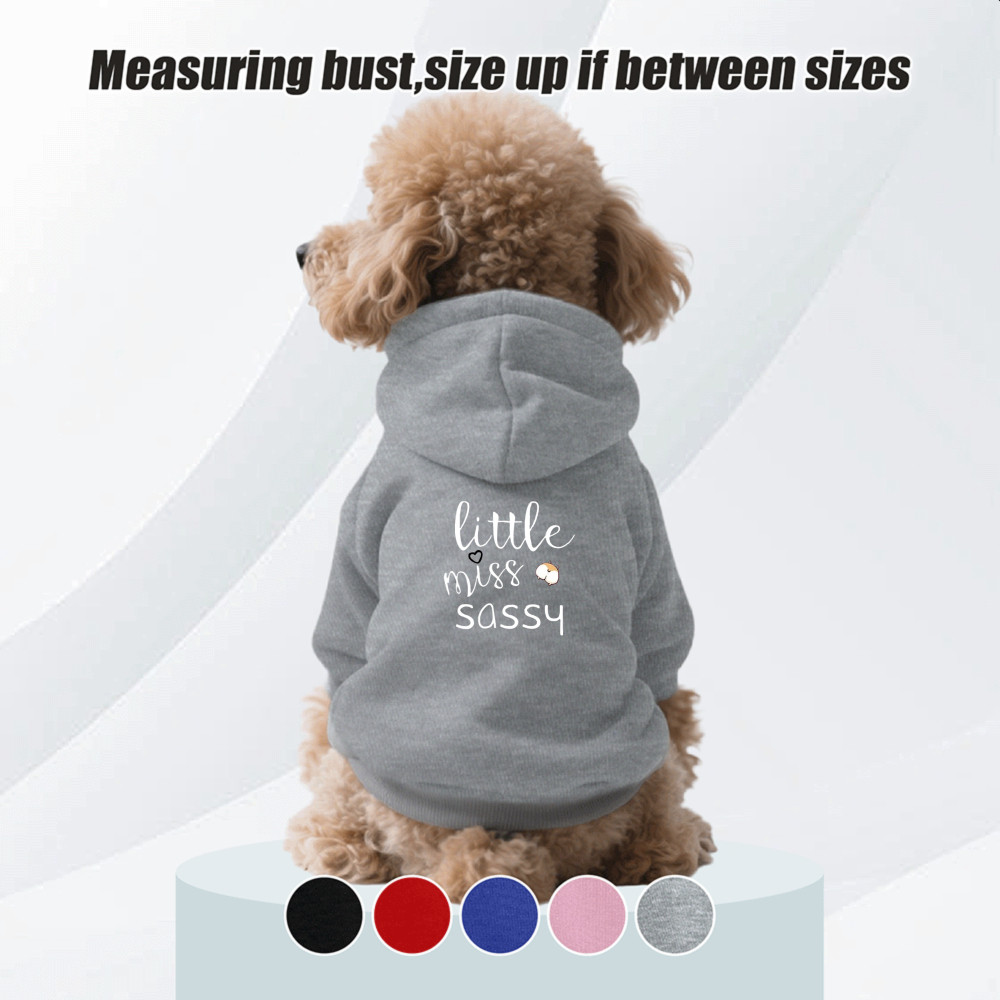 Size S-2XL: Áo hoodie cho thú cưng, phong cách chui đầu, Corgi và in đầu xe máy, có sẵn 5 màu, mềm mại, thoáng khí, ấm áp, có thể giặt được bằng máy, thích hợp cho tất cả các giống chó nhỏ.