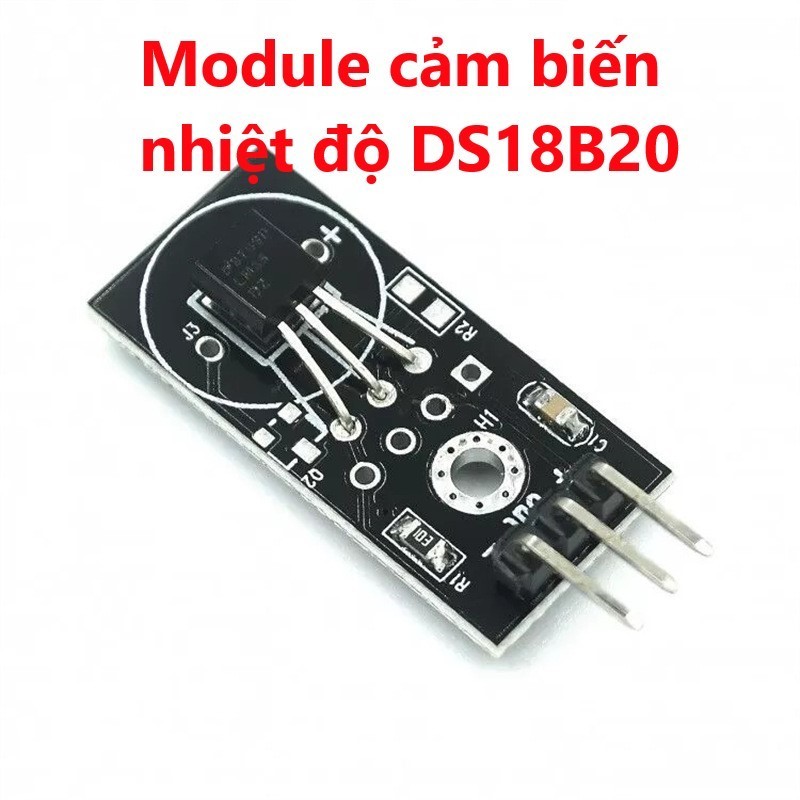 Module cảm biến nhiệt độ DS18B20 | Shopee Việt Nam