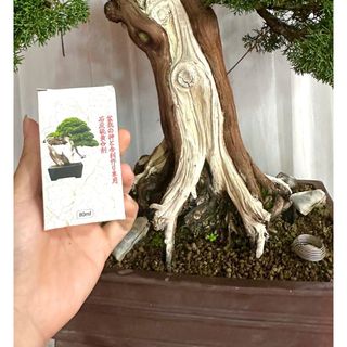 Nước quét lũa cây Nhật Bản tạo lũa trắng ngà đẹp, tránh mối mọt (Nhãn 80ml)