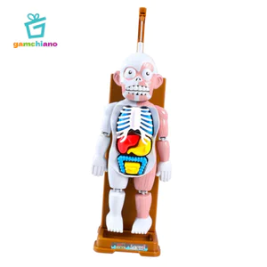 Gamchiano Cơ Thể Con Người Mô Hình Playset Chơi Halloween Ủng Hộ Tiệc Gags Organ Bộ Xương Cơ Bắp Mannequin