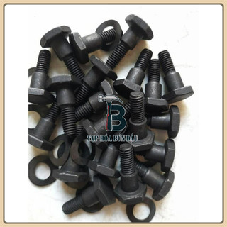 Ốc bố côn 260 - 330 - 143 ( Túi 10 ốc như trên hình )