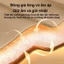 Túi ngủ du lịch, văn phòng, cắm trại chất liệu cotton mềm mại chịu nhiệt từ 5-24 độ kèm túi