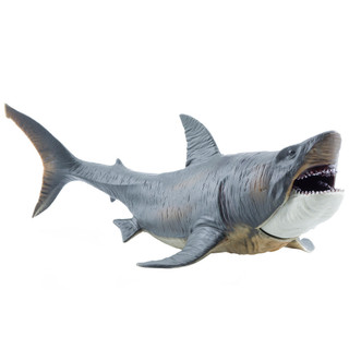 Thực Tế Lớn Megalodon Cá Mập Mô Hình Cổ Đại Dương Động Vật Giáo Dục Đồ Chơi Trang Trí Món Quà Hoàn Hảo Cho Bộ Sưu Tập