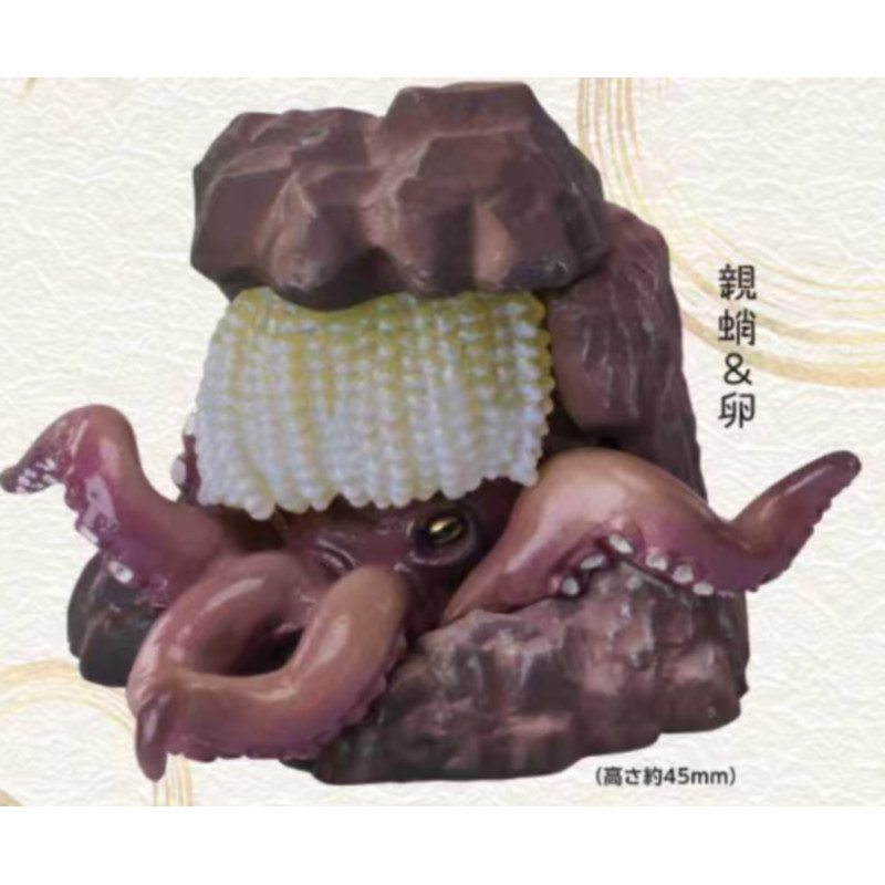 [BTF] Hàng có sẵn Đồ chơi viên nang STASTO Nhật Bản Kiki Sixth Octopus Squid Đồ trang trí ba chiều Pedestal ME5B