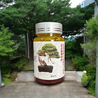 Nước quét lũa cây Nhật Bản tạo lũa trắng ngà đẹp, tránh mối mọt (Nhãn 80ml)