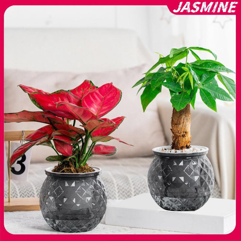 JASMINE Mini Tự Tưới Cây Chậu Hoa Bể Cá Nhựa Trong Suốt Chậu Cây Tự Tưới Cây Chậu Bình Để Trang Trí Nhà Cửa JASMINE