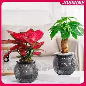 JASMINE Mini Tự Tưới Cây Chậu Hoa Bể Cá Nhựa Trong Suốt Chậu Cây Tự Tưới Cây Chậu Bình Để Trang Trí Nhà Cửa JASMINE