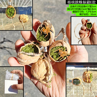 Nơi ẩn náu hình trái tim từ tính dễ thương – Hang động thú cưng nhỏ để nhảy nhện & Tarantulas