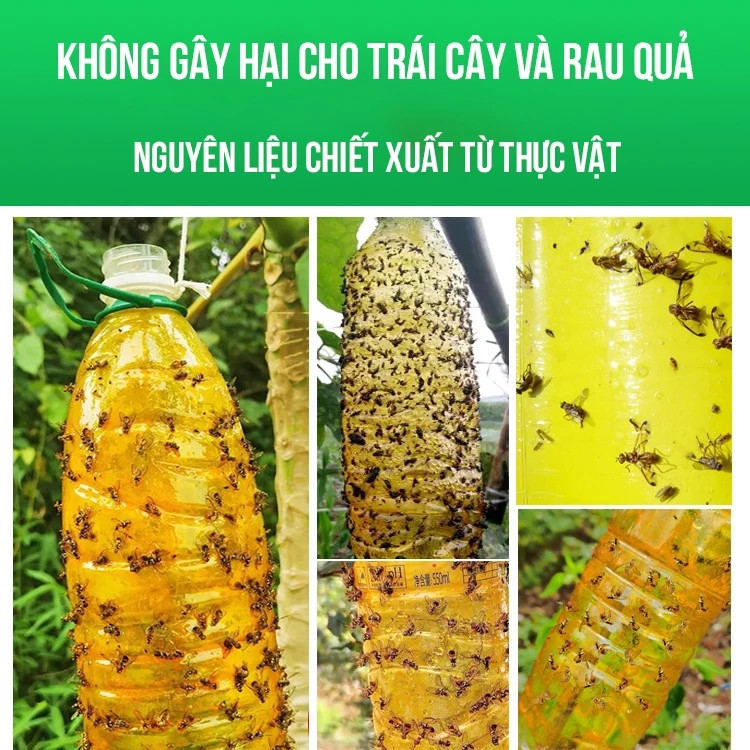 【COD】Keo xịt thu hút ruồi vàng công nghệ Đài Loan, bám chắc trên mọi bề mặt, diệt ruồi triệt để, an toàn cho cây trồng.