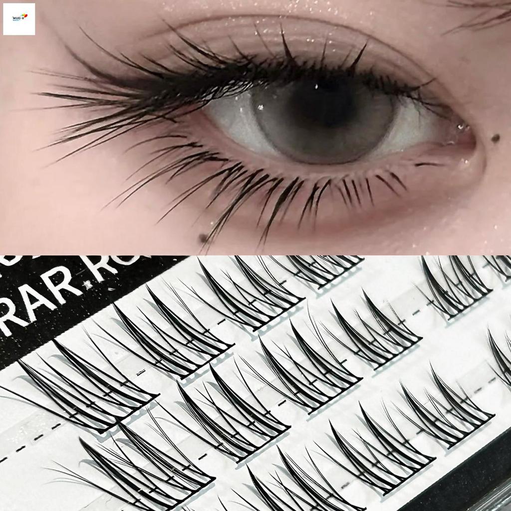 Cụm lông mi Wispy tự nhiên - Không cần keo dán Quà tặng hoàn hảo cho nữ