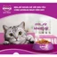 Hạt Whiskas 8 vị lựa chọn. Thức ăn "Hạt có nhân" cho Mèo Con và Mèo Trưởng Thành