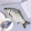 Photoframe Crucian Cá Chép Túi Bút Hình Cá Thực Tế Túi Trang Điểm Bút Chì Có Dây Kéo Ba Đến Trường Bút Chì Túi Đựng Bút Chì VN