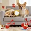Đồ chơi cho chó đa chức năng hàng đầu để giảm lo âu Tính năng Hiệu ứng ánh sáng và chơi