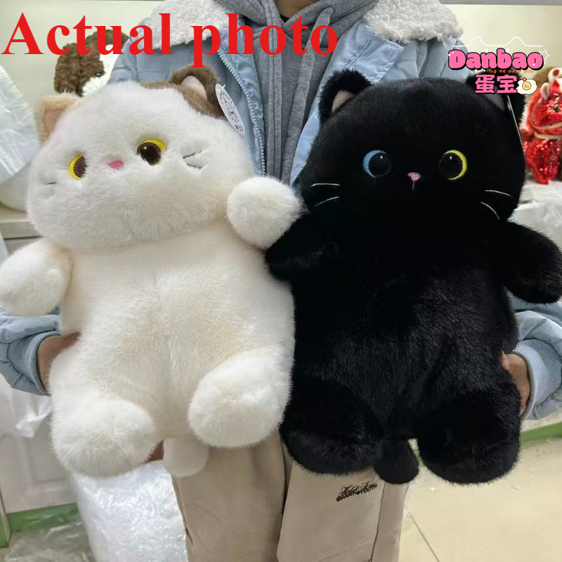 [DANBAO] Cậu Bé Béo Muốn Ngủ Mèo Sang Trọng Đồ Chơi Búp Bê Mèo Con Dễ Thương Búp Bê Thú Cưng Mèo Chất Liệu Mềm Quà Tặng Cho Trẻ Em Quà Tặng Sinh Nhật DANBAO Đồ Chơi