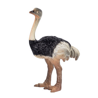 Đồ chơi mô hình động vật chim thực tế Vẹt Falcon Owl Flamingo Giáo dục Quà tặng trẻ em