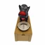 Cc Fun Dog Steal Coin Piggy Banks có nắp truy cập dễ dàng Robot sắp xếp tiền để trang trí nhà cửa và công cụ tiết kiệm