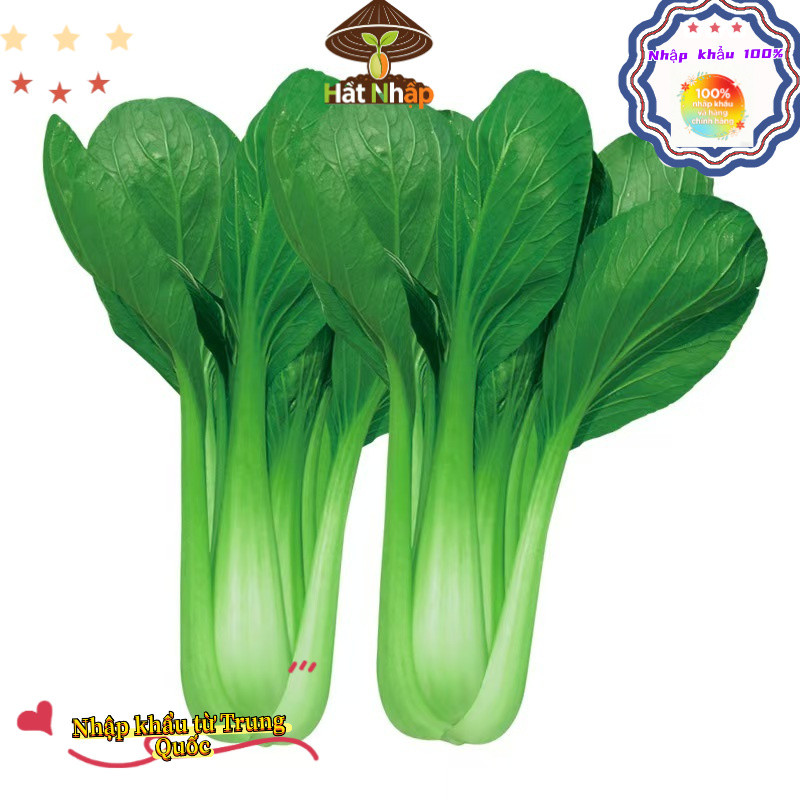 Hạt giống rau cải ngọt lùn chịu nhiệt，Khoảng 2500 viên thuốc mỗi túi-k015