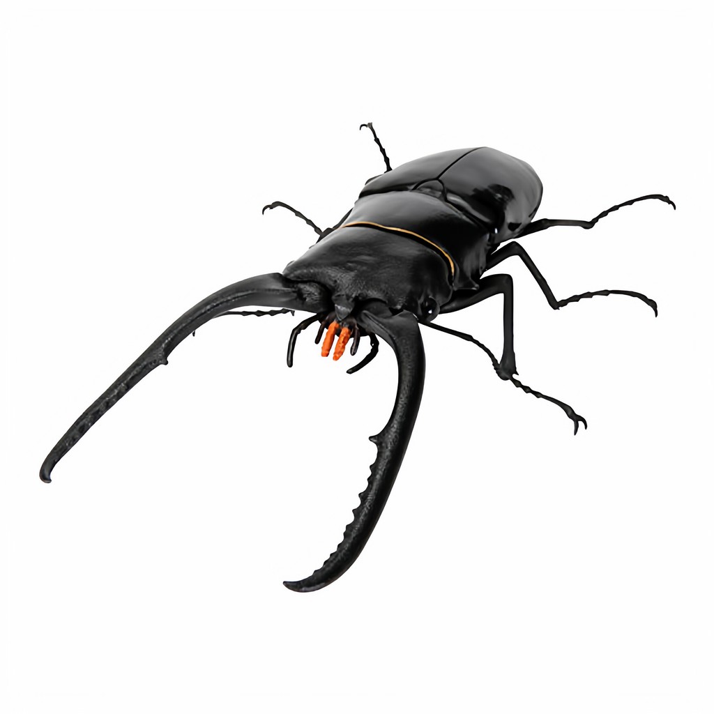 [BTF] Hàng có sẵn BANDAI Capsule Toy Sinh học Sách minh họa lớn 11 Beetle Stag Beetle Mô phỏng Đồ trang trí côn trùng S03Y