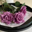 Hoa Hồng Giả Cao Cấp Real Touch Cảm Giác Ẩm Mịn Như Thật Hoa Hồng Màu Retro Sang Trọng Decor Đám Cưới & Phòng Khách (Giá 1 Cành)