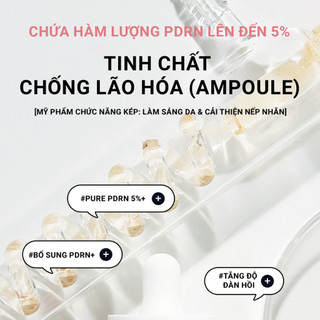 Tinh chất chống lão hoá LEADERS PDRN 5% Active Ampoule, serum cải thiện độ đàn hồi, nâng cơ , nuôi dưỡng da khỏe 30ml