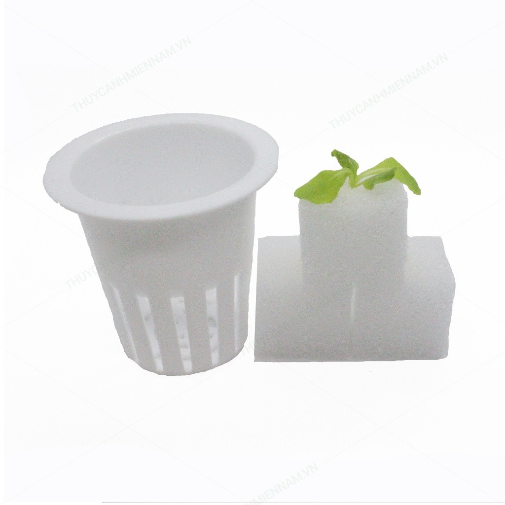480 viên mút xốp ươm hạt kích thước 25x25x25mm hàng nhật chất lượng cao