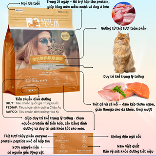 Gói Dùng Thử Hạt Mèo MOLIK 40g – Công Thức Gà & Cá Hồi Nướng Chậm