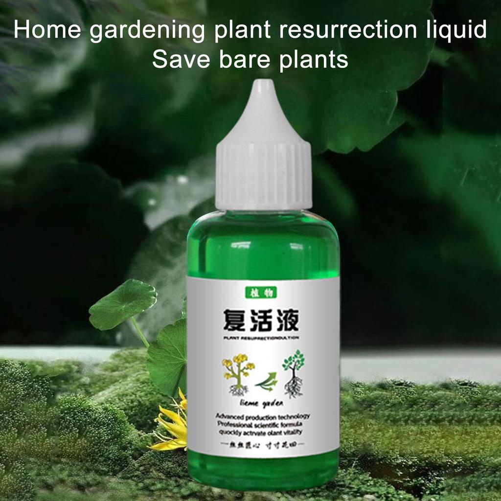 Chất lỏng phục hồi thực vật 50ml Chất lỏng dinh dưỡng thực vật Thúc đẩy sức khỏe & tăng trưởng mạnh mẽ mueadsyvn