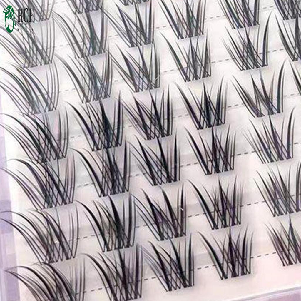 Lông mi giả C-Curl - Lông mi sợi tổng hợp dày đặc tự nhiên để mặc tiệc hàng ngày