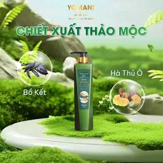 Dầu Gội Bồ Kết & Hà Thủ Ô YOMANI 800ml Giảm Gàu Ngứa Da Đầu, Hỗ Trợ Mọc Tóc, Phục Hồi Hư Tổn Tóc