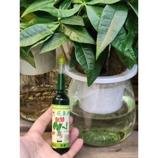 (Mua 5 tặng 1) Dưỡng chất hoa và cây cảnh lọ 38ml giúp cây ra rễ, tốt lá cho cây và các lại hoa