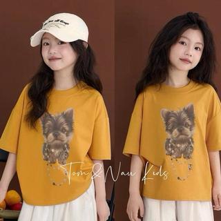 A19-M-[tomnaukids] Áo thun cộc tay cho bé gái  cho bé gái size từ 9-80Kg